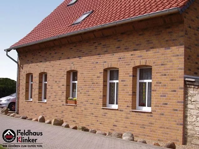 Клинкерная фасадная плитка R684WDF14 sintra nolani ocasa 215х14х65 мм - Тёплая Керамика - Изображение 1