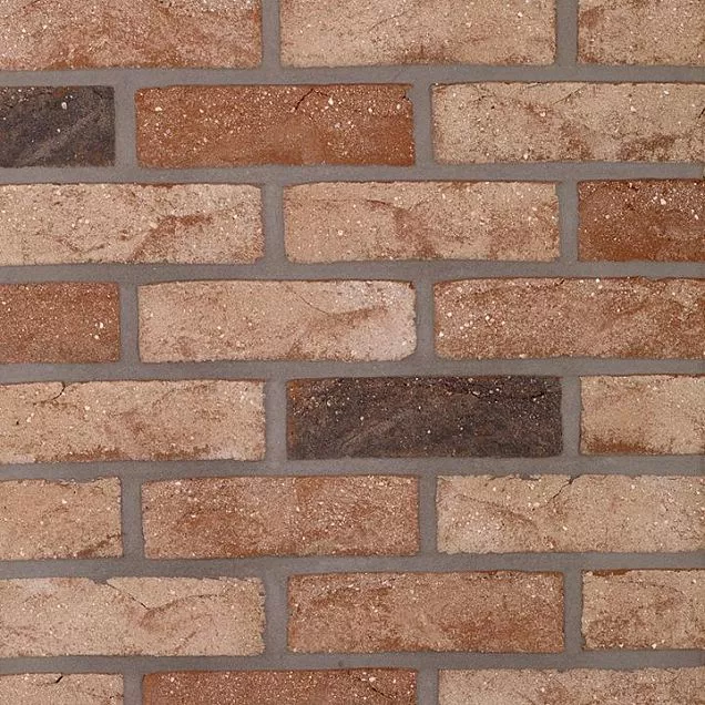 Кирпич лицевой TERCA Pelham Antique / Barok'83 WFD65  215x102x65 мм - Тёплая Керамика - Изображение 1