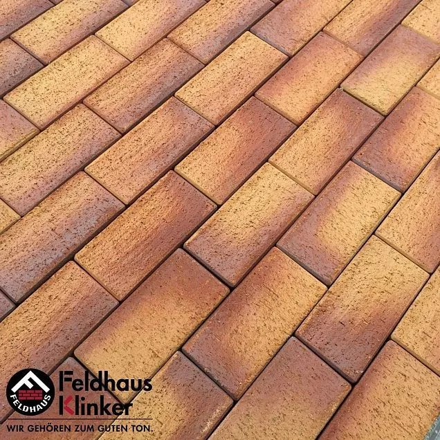 Тротуарная плитка Feldhaus Klinker P249KF areno ferrum 200x100x45 мм - Тёплая Керамика - Изображение 1