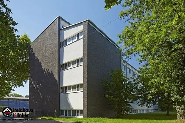 Клинкерная фасадная плитка R761NF14 vascu vulcano, состаренная поверхность  240х9х71 мм - Тёплая Керамика - Изображение 5