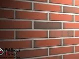 Клинкерная плитка R303DF9  "ardor liso", красная пестрая, обожженная, гладкая 240х9х52 мм - Тёплая Керамика - Изображение 3